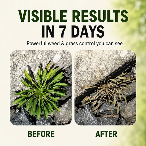 ✨✨2026 SALE - Fast-Acting Natural Weed & Grass Killer Spray