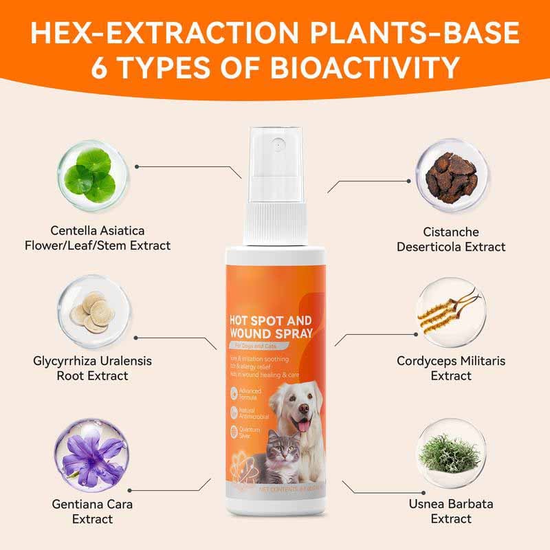 Itch Relief Spray –Vet Recommended Skin Soothing Quantum Silver Spray for Dogs & Cats